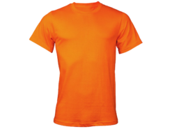 Classic T-Shirt