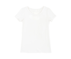 Pic-a-Tee Ladies T-Shirt with FREE Direct to Garment Full Colour Print
