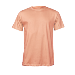 Classic Pastel T-Shirt (Select Colour)
